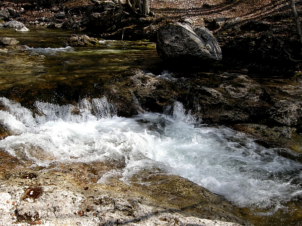 Escursione Parco Nazionale d''Abruzzo